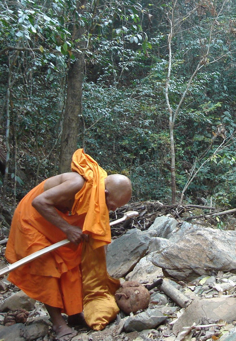 กรณียเมตตสูตร — บทสวดเจริญเมตตา พร้อมที่มา ความหมาย และอานิสงส์ 11 ประการ