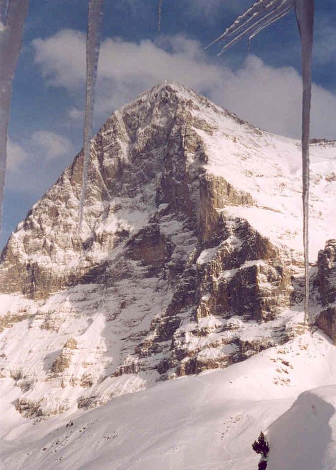 หน้าผาเหนือของเขา Eiger