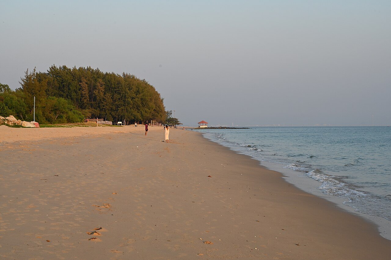 คลื่นซัดชายหาด