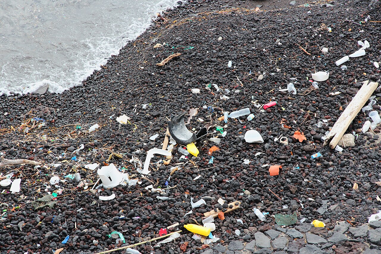 ขยะพลาสติกจำนวนมากกองอยู่บนชายหาด