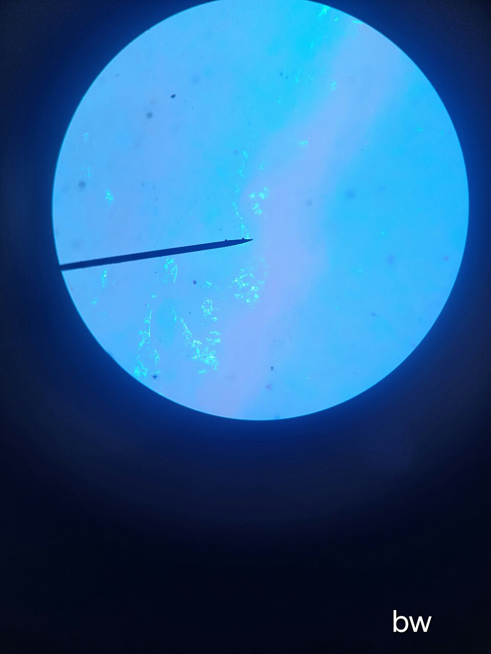 ภาพถ่ายผ่านกล้องจุลทรรศน์แสดงอนุภาคไมโครพลาสติกที่กรองได้จากน้ำดื่มบรรจุขวด